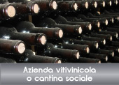 Professione DOC Wine - il software gestionale per la gestione delle aziende vitivinicole e le cantine sociali